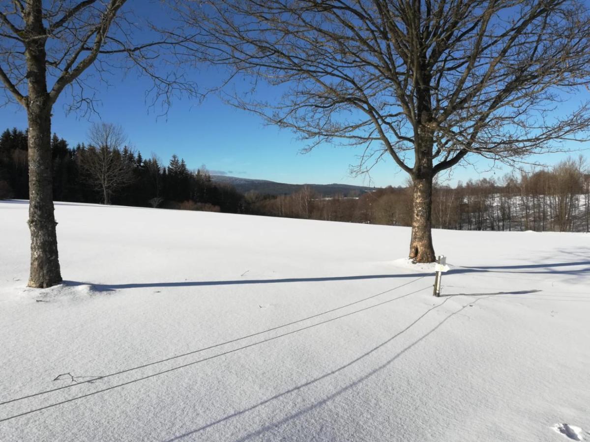 Fahrenbach-Alm Apartment Trostau Bagian luar foto